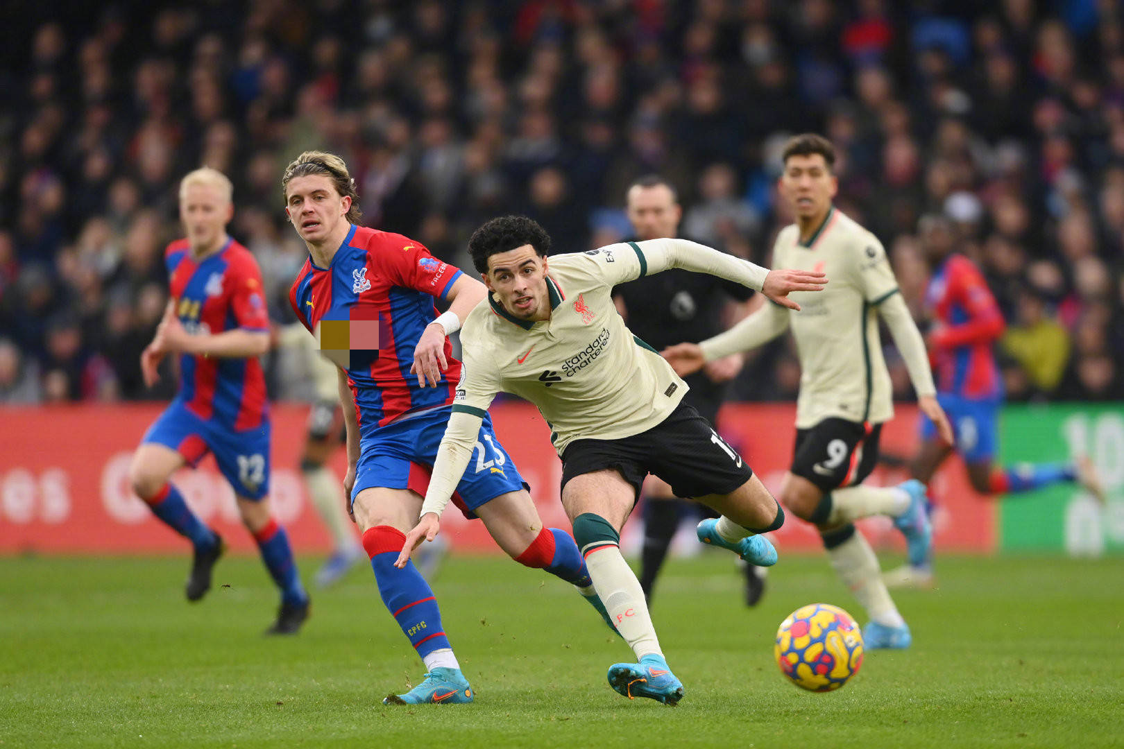 推出了众多 推出了众多