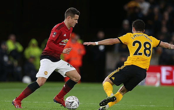 精心挑选的 精心挑选的